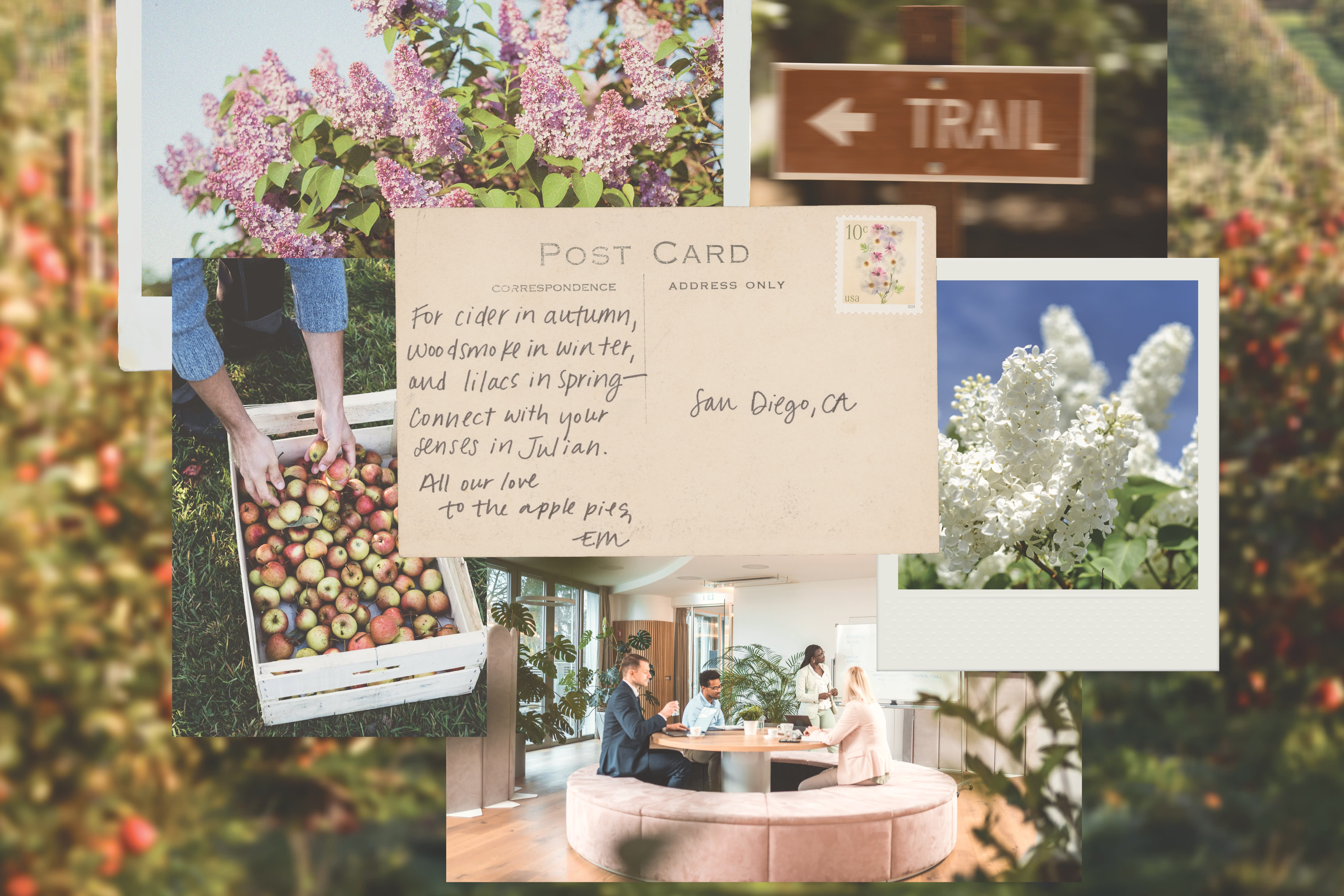 Moodboard inspired by Idyllwild town and textile