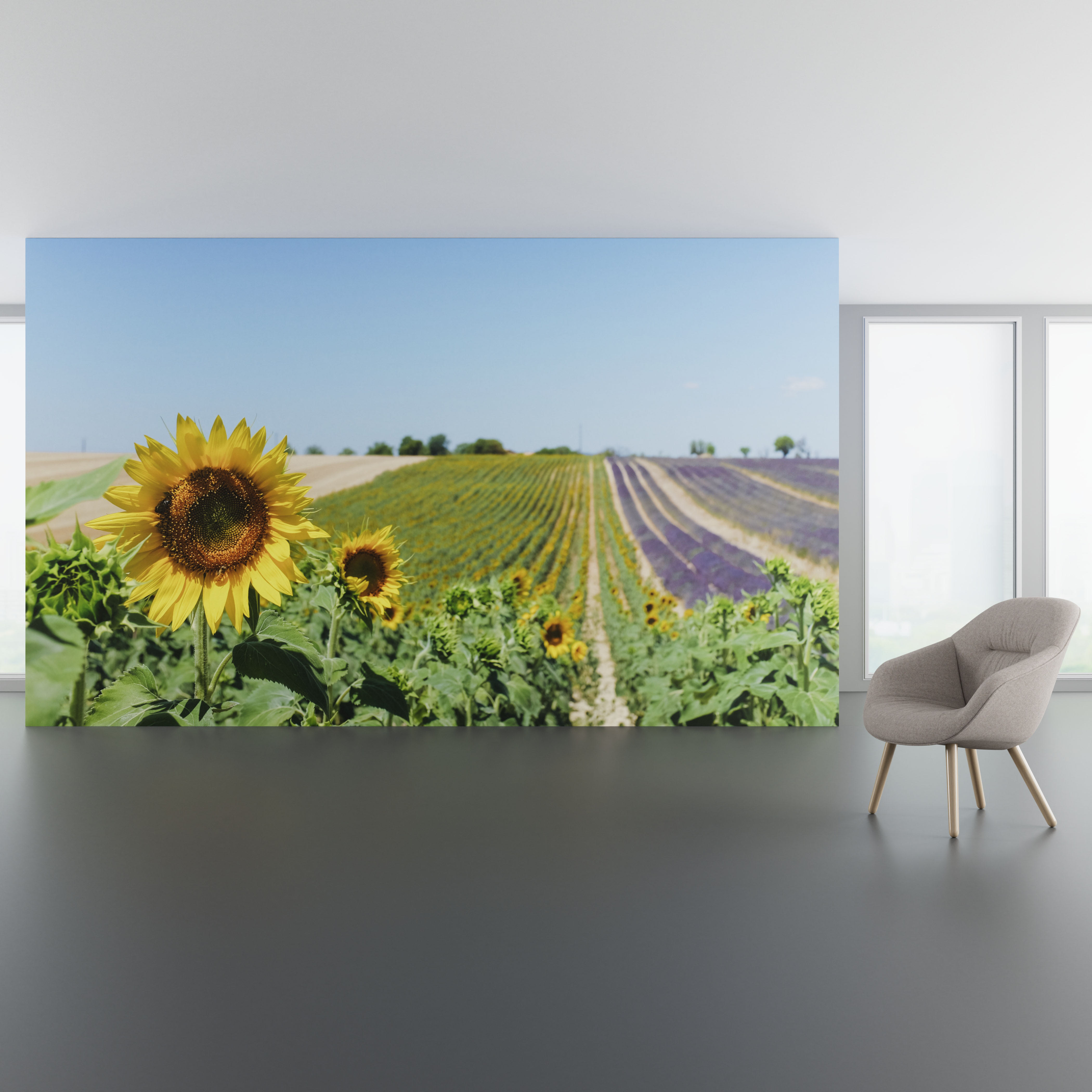 Install scene of Avignon a digital art wallcovering pattern featuring photography of Avignon, a city in southeastern France’s Provence region.