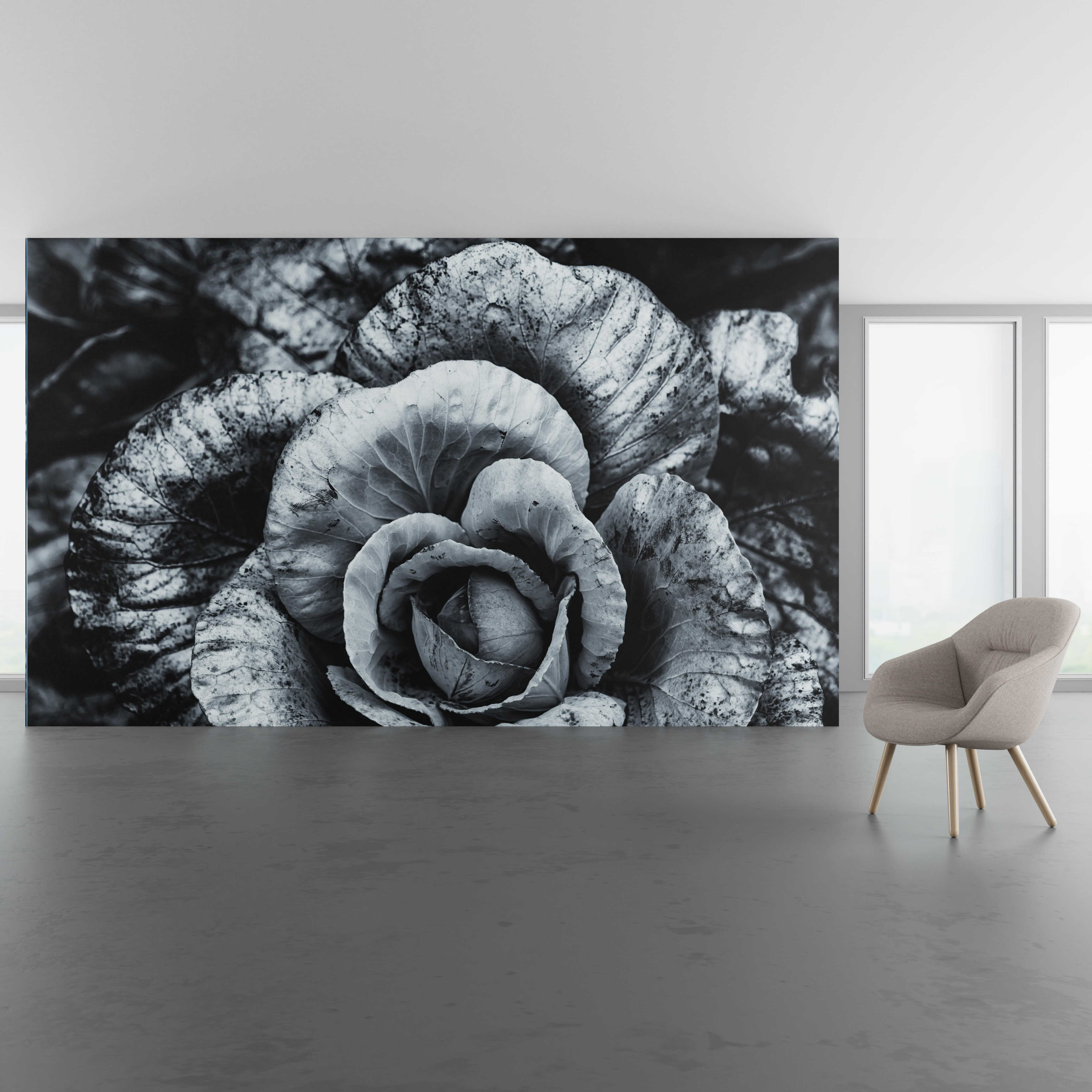 Install scene of Layers of Intrigue, a digital art wallcovering pattern featuring black and white photography of close-up flower petals