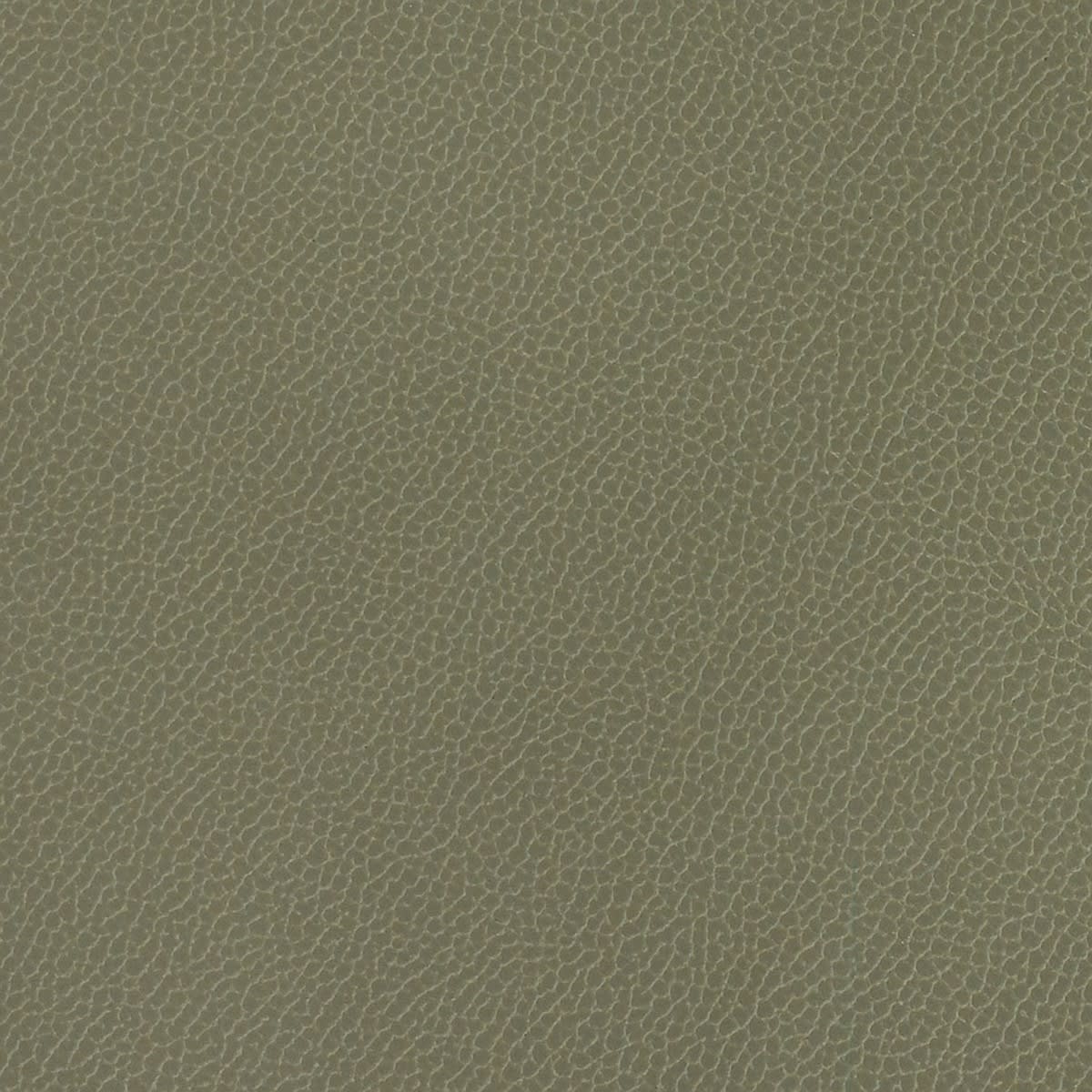 Silica Leather - Eucalyptus