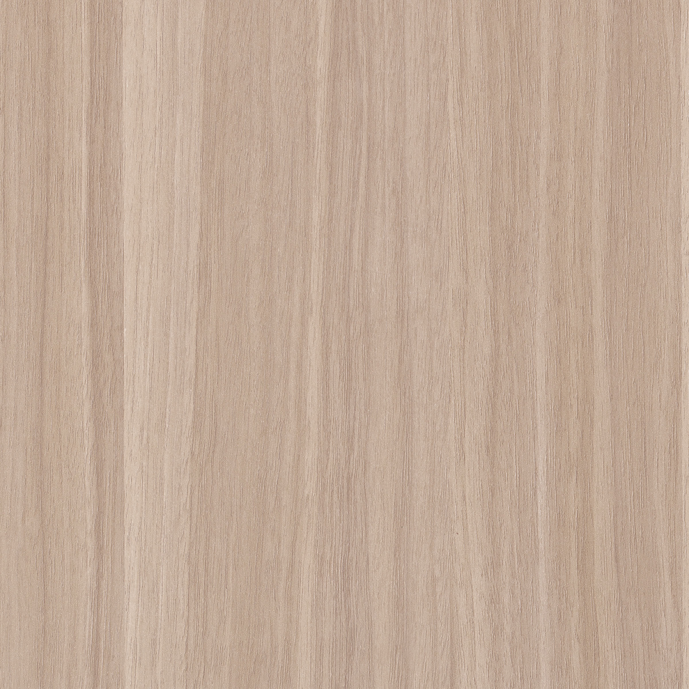 Woods, a woodsgrain wallcovering