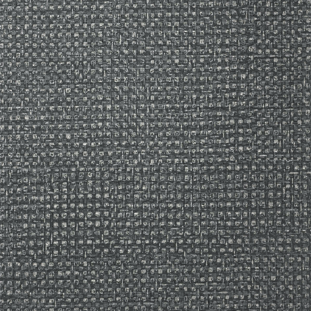 Belize - Black Sand - Momentum Textiles and Wallcovering