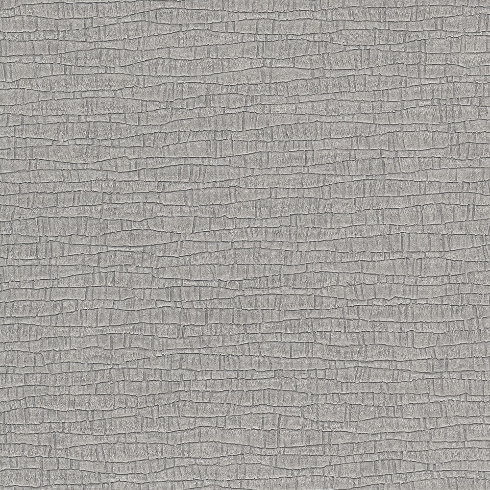 Carbon Graphite Texture