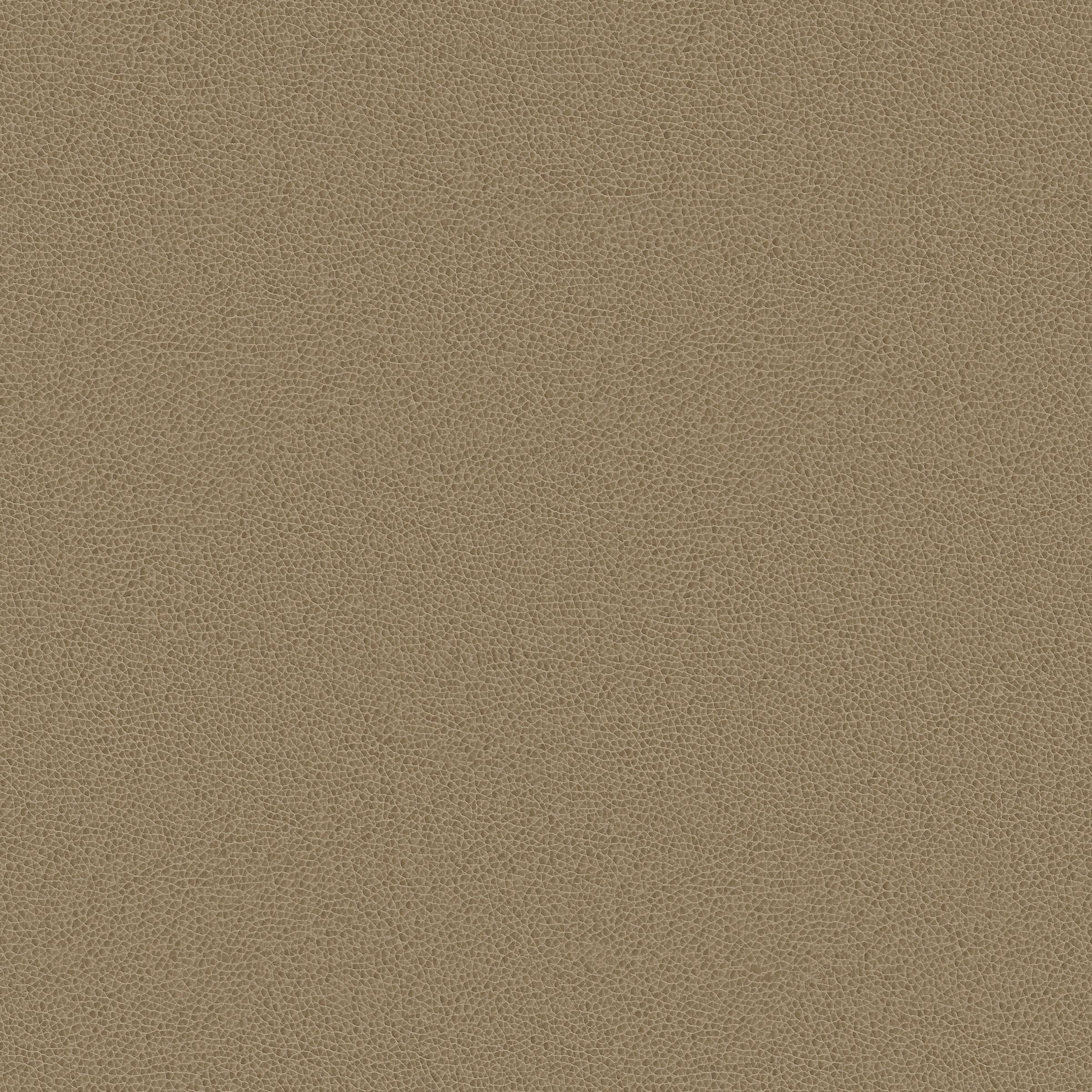 fleming-operative-repeat?_a=