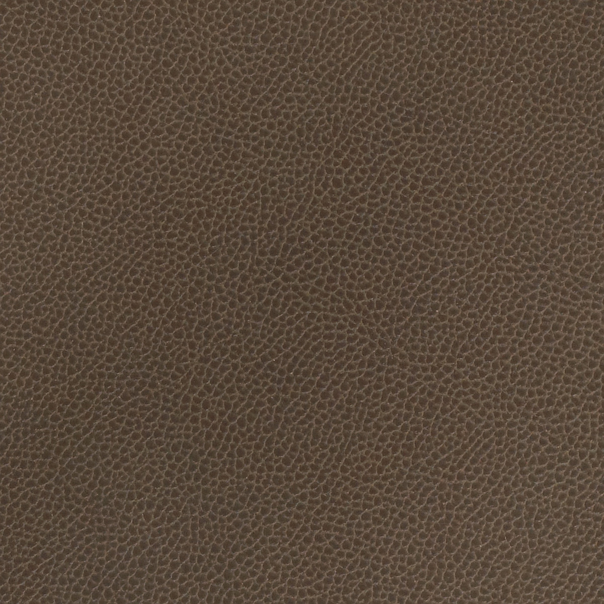 Silica Leather - Mink - Momentum Textiles and Wallcovering